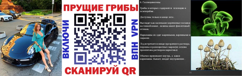 Псилоцибиновые грибы мицелий  кракен онион  Кудымкар  где купить  